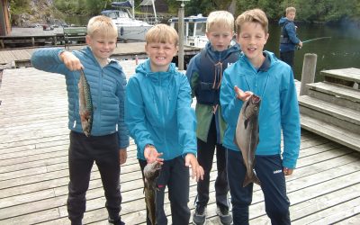 Fint ver og litt fisk